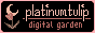 pixel art icon for the platinumtulip website, the background is black with pink border, and a symbol of a muted pink tulip in front of a cresent moon. on the right is text that says platinumtulip, underlined, and then below is digital garden. text is in muted pinks as well.